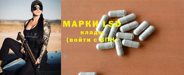 ПСИЛОЦИБИНОВЫЕ ГРИБЫ Ельня