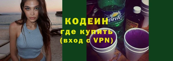 ПСИЛОЦИБИНОВЫЕ ГРИБЫ Ельня