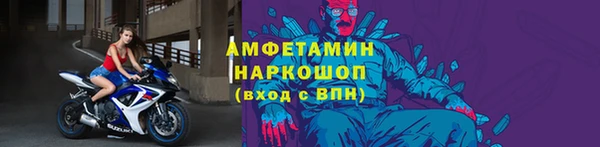ПСИЛОЦИБИНОВЫЕ ГРИБЫ Ельня
