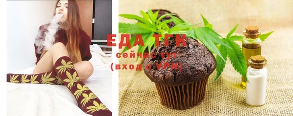 ПСИЛОЦИБИНОВЫЕ ГРИБЫ Ельня